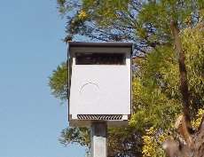 FIXED Speed Camera NSW